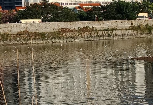 IMG_20181128_225535.jpg