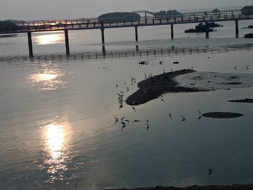 IMG20181108074621.jpg