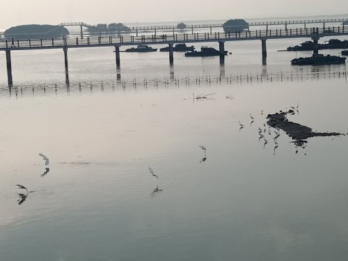 IMG20181108080049.jpg