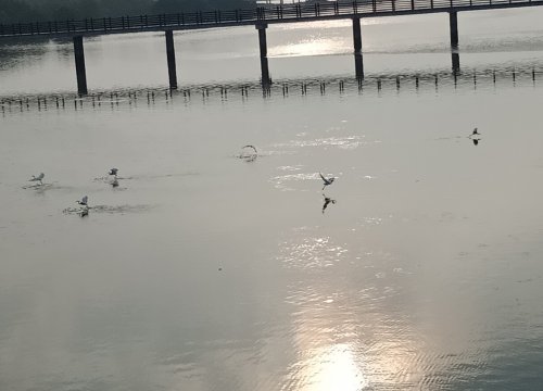 IMG_20181129_193724.jpg