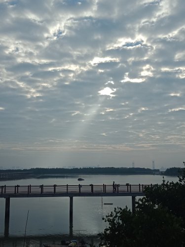 IMG20181130081745.jpg