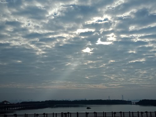 IMG20181130081823.jpg