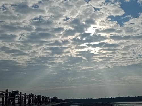 IMG20181130082438.jpg