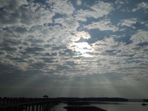 IMG20181130082658.jpg