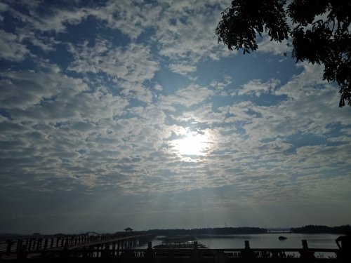 IMG20181130082831.jpg