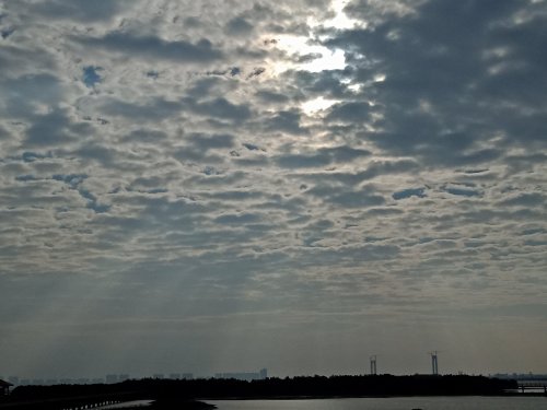 IMG20181130083352.jpg