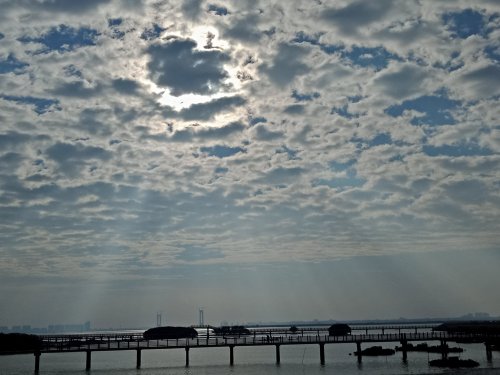IMG20181130084354.jpg