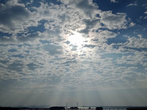 IMG20181130084716.jpg