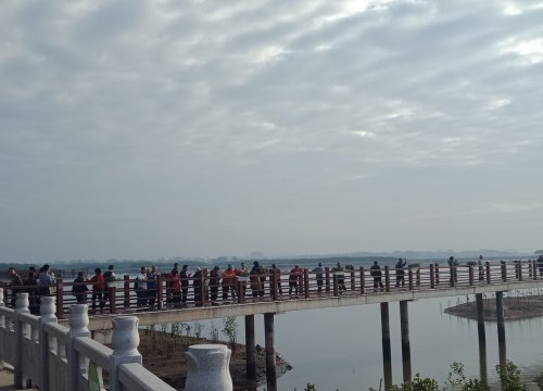 IMG_20181130_111335.jpg