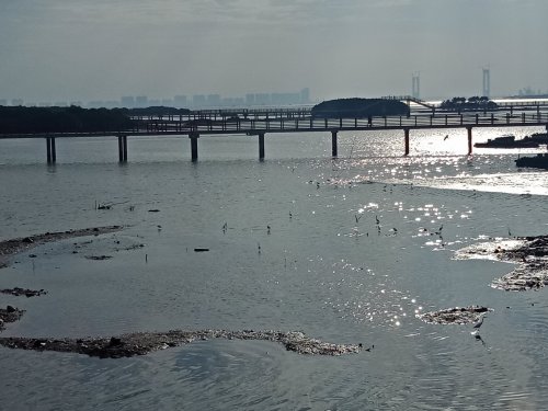 IMG20181130084650.jpg