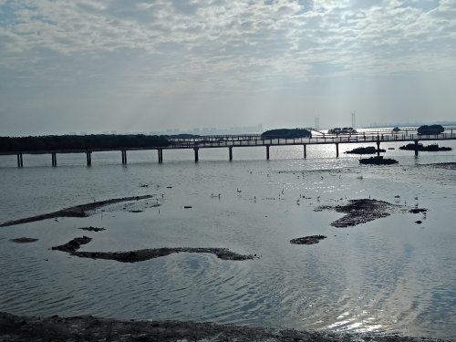 IMG20181130084752.jpg