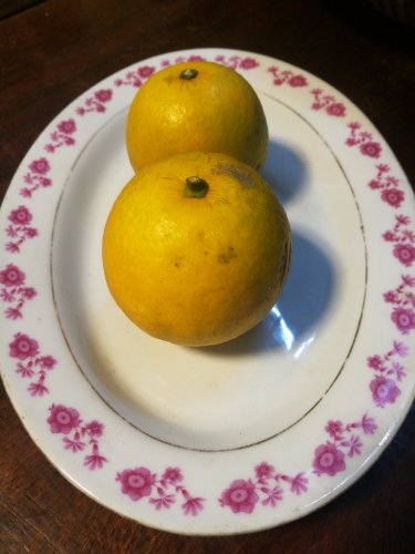 2019-01-07_20.20.03.jpg