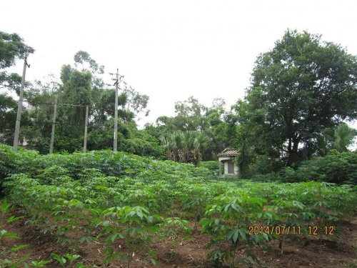 psb (10).jpg psb (10).jpg