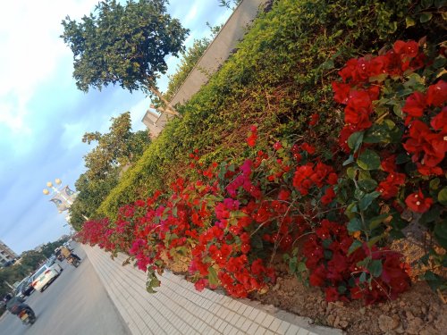 IMG20190120171628.jpg