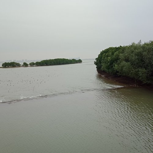 IMG20181229082734.jpg