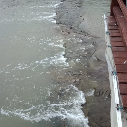 IMG20181229082829.jpg