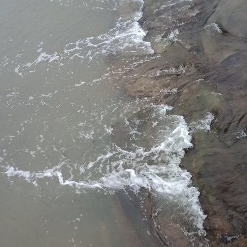 IMG20181229082907.jpg