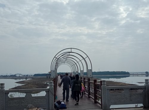 IMG_20190125_114500.jpg