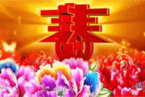 15184006267348280.gif