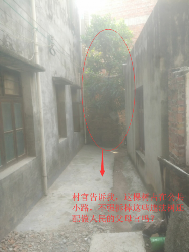 q2.png