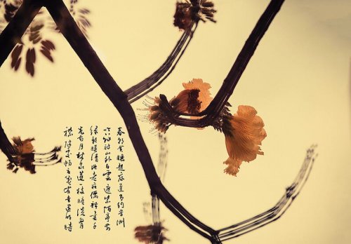 微信图片_20190228101607.jpg
