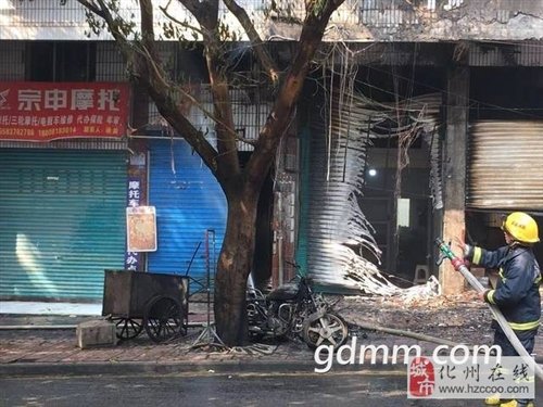 微信图片_20190301084413.jpg