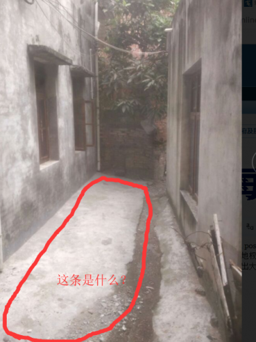 32.png 32.png
