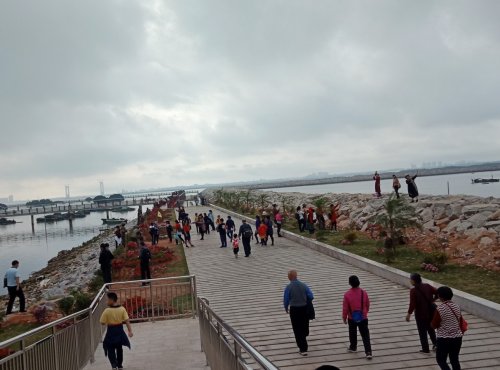 IMG_20190302_151624.jpg