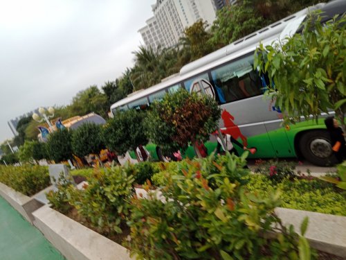 IMG20190310084021.jpg