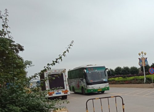 IMG_20190310_234740.jpg