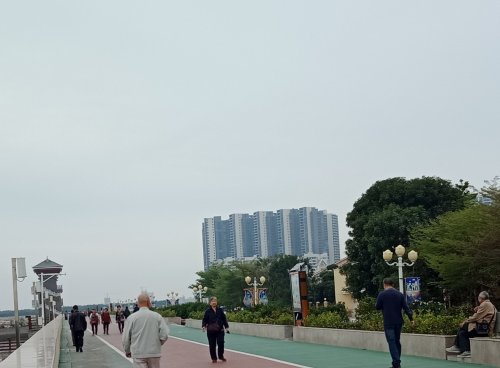 IMG_20190311_101849.jpg