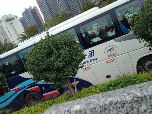 IMG20190311094227.jpg