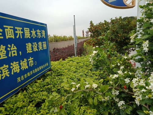 IMG20190310102455.jpg