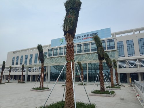 IMG20190330132603.jpg