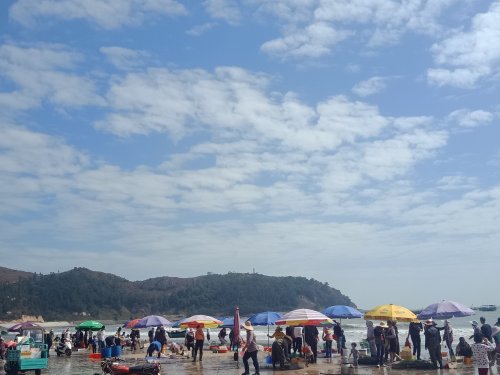 IMG20190129130447.jpg