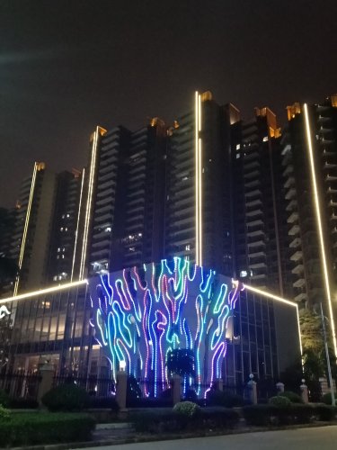 IMG20190310204137.jpg