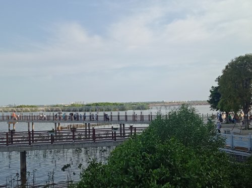 IMG_20190428_000716.jpg