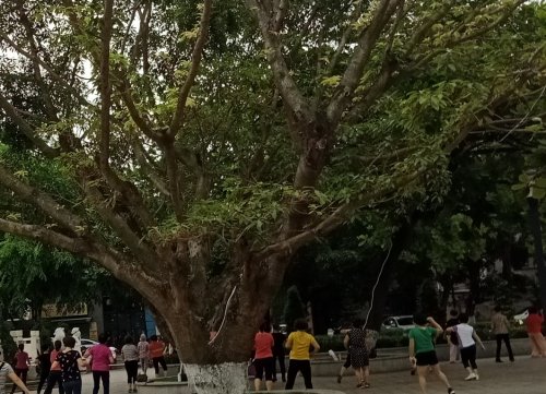 IMG_20190428_092318.jpg
