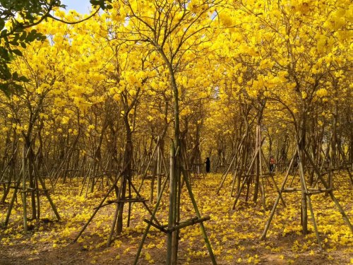 QQ图片20180227120336.jpg QQ图片20180227120336.jpg