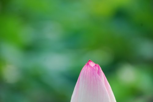 DSC_0103.JPG