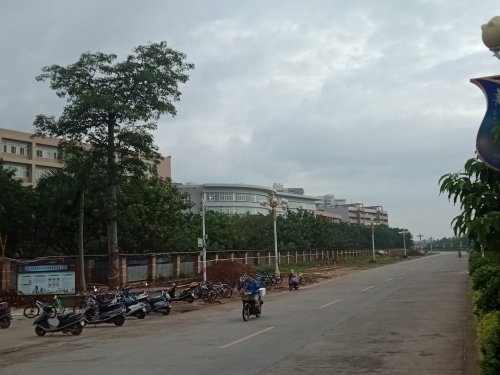 IMG20190529075900.jpg