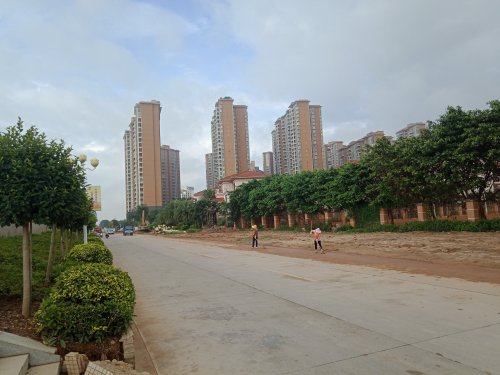 IMG20190529080415.jpg