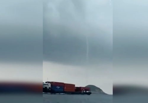 截图1559086724.png