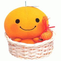 200515184716166.gif