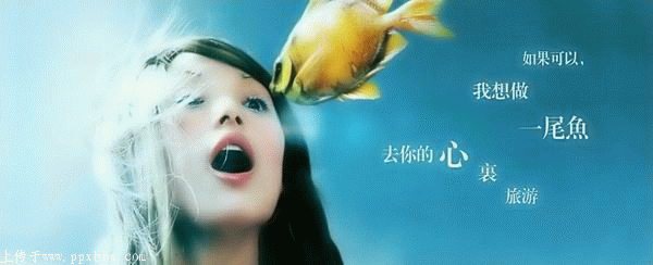 20051919349297.gif