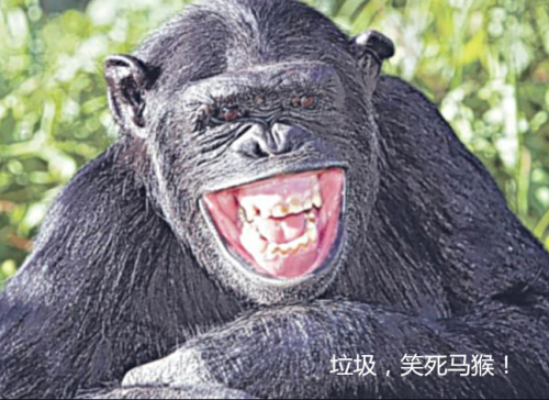 截图1560143028_副本.png