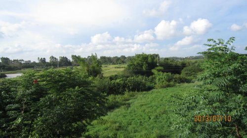 psb (16).jpg psb (16).jpg