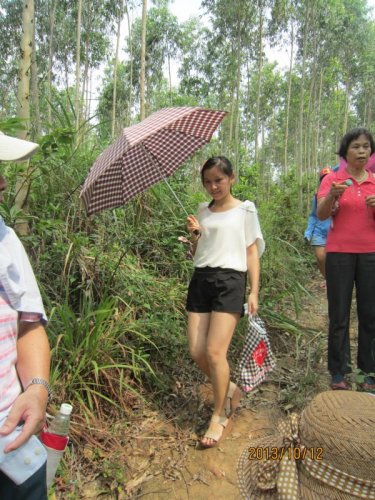 psb (19).jpg psb (19).jpg