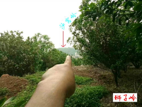 psb (3).png psb (3).png