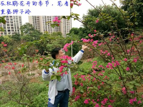 psb (38).jpg psb (38).jpg